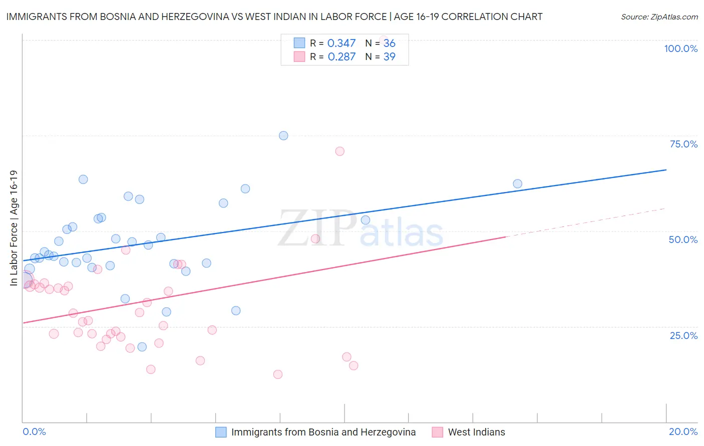 Immigrants from Bosnia and Herzegovina vs West Indian In Labor Force | Age 16-19