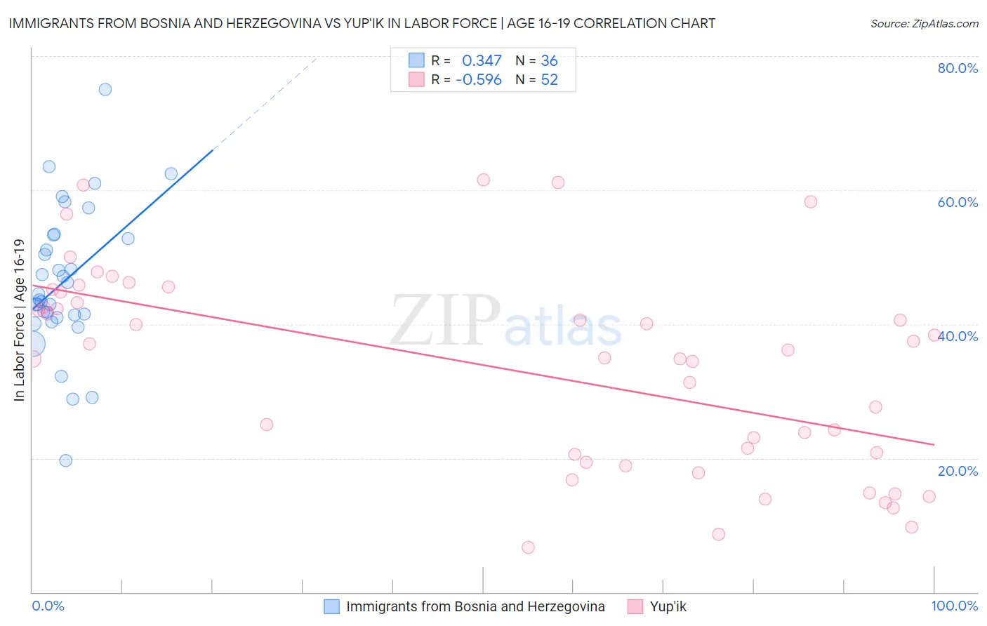 Immigrants from Bosnia and Herzegovina vs Yup'ik In Labor Force | Age 16-19