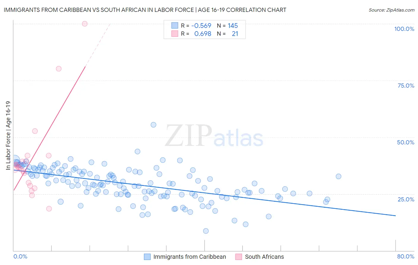 Immigrants from Caribbean vs South African In Labor Force | Age 16-19