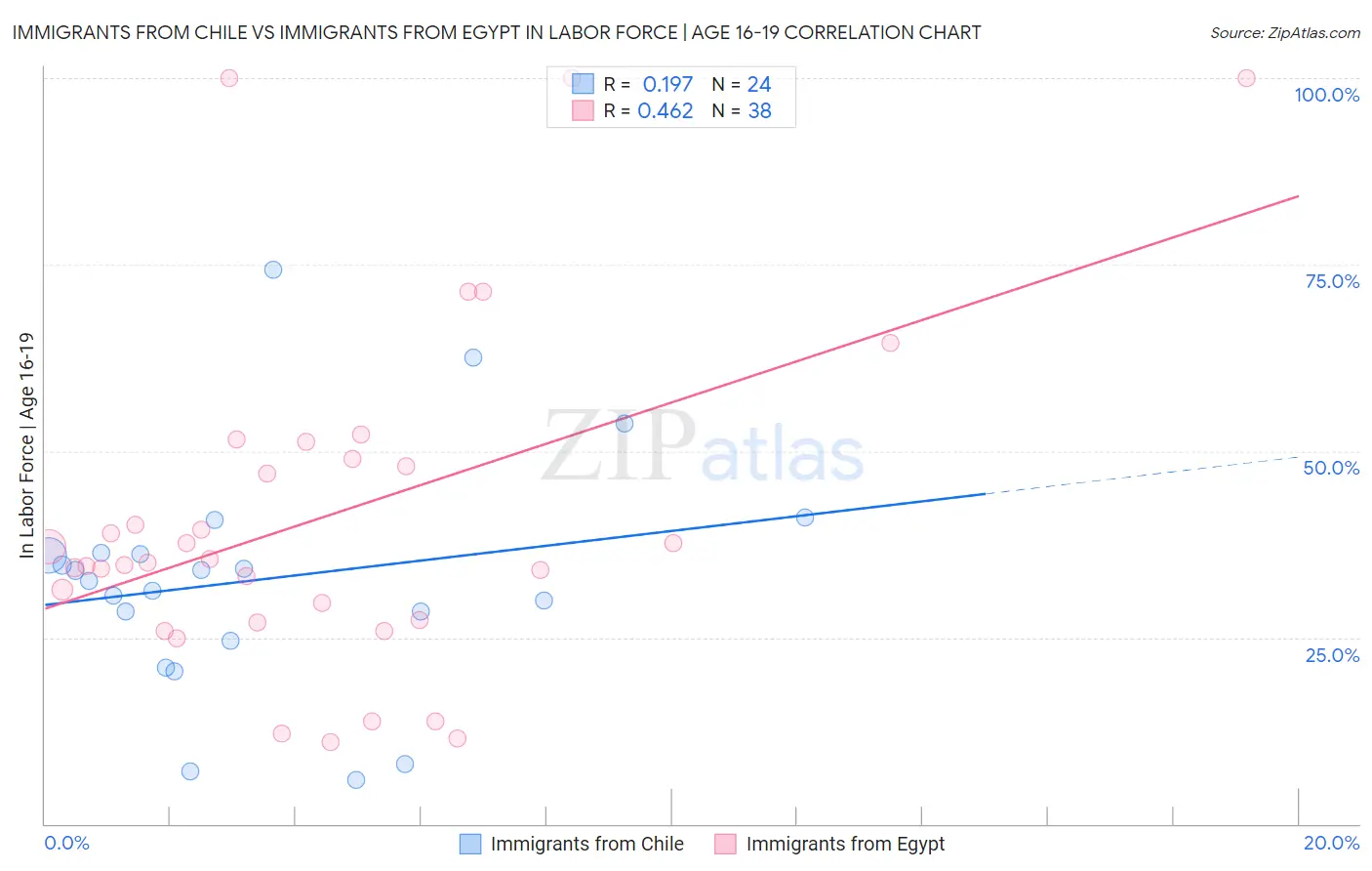 Immigrants from Chile vs Immigrants from Egypt In Labor Force | Age 16-19