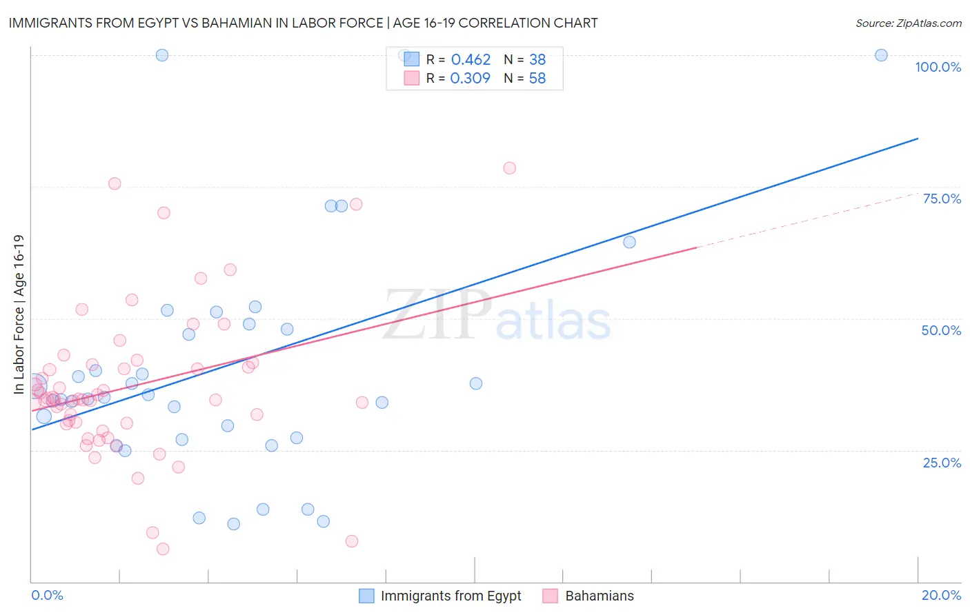 Immigrants from Egypt vs Bahamian In Labor Force | Age 16-19