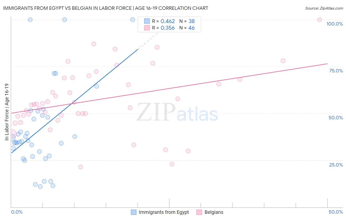 Immigrants from Egypt vs Belgian In Labor Force | Age 16-19