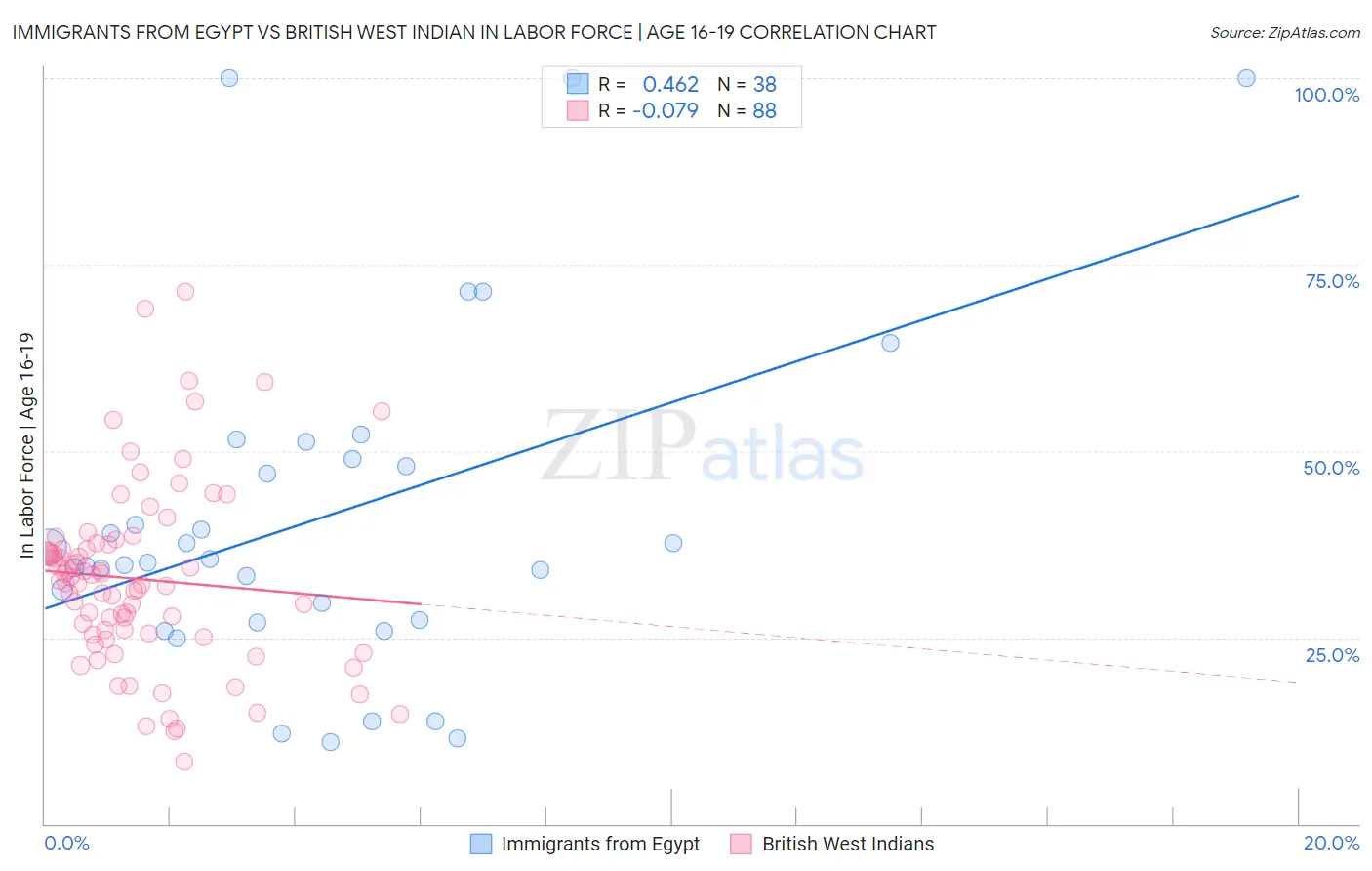 Immigrants from Egypt vs British West Indian In Labor Force | Age 16-19