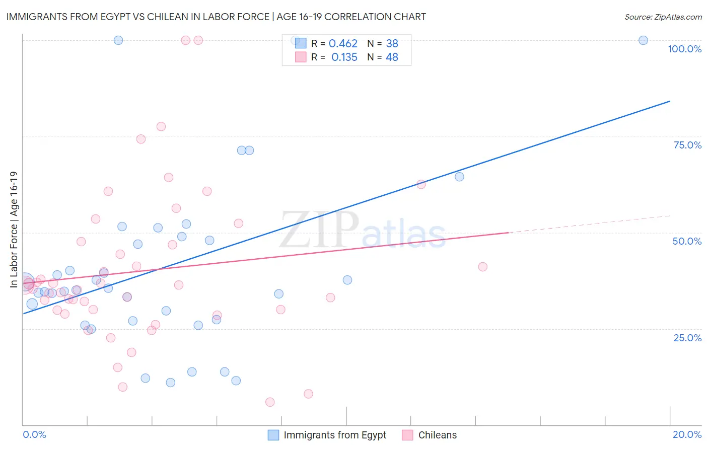 Immigrants from Egypt vs Chilean In Labor Force | Age 16-19