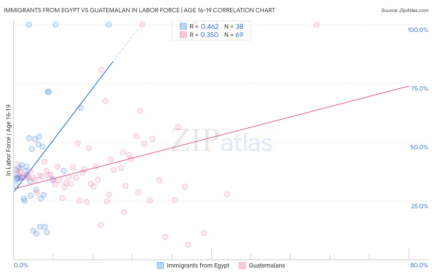 Immigrants from Egypt vs Guatemalan In Labor Force | Age 16-19