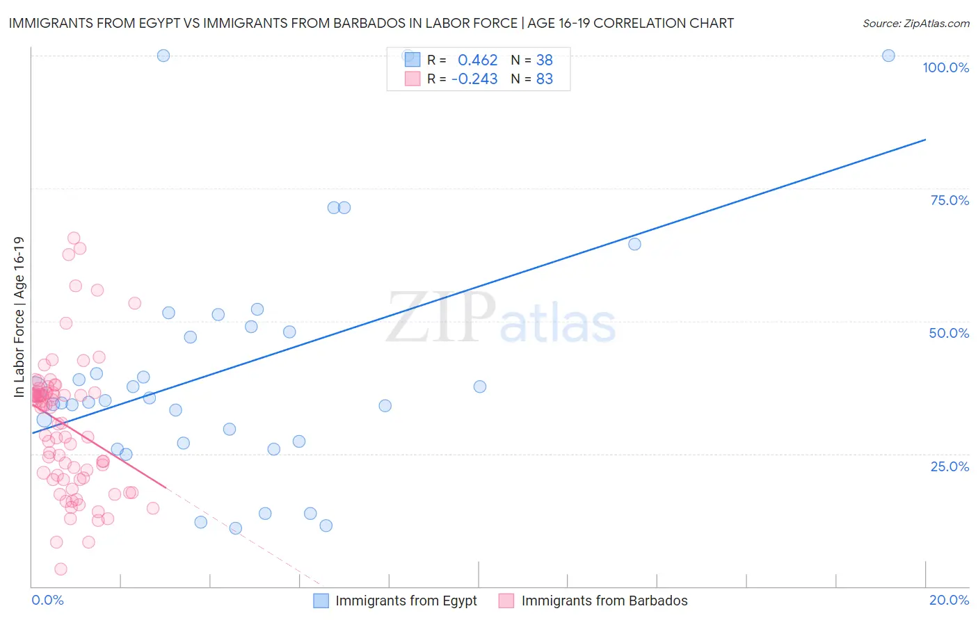 Immigrants from Egypt vs Immigrants from Barbados In Labor Force | Age 16-19