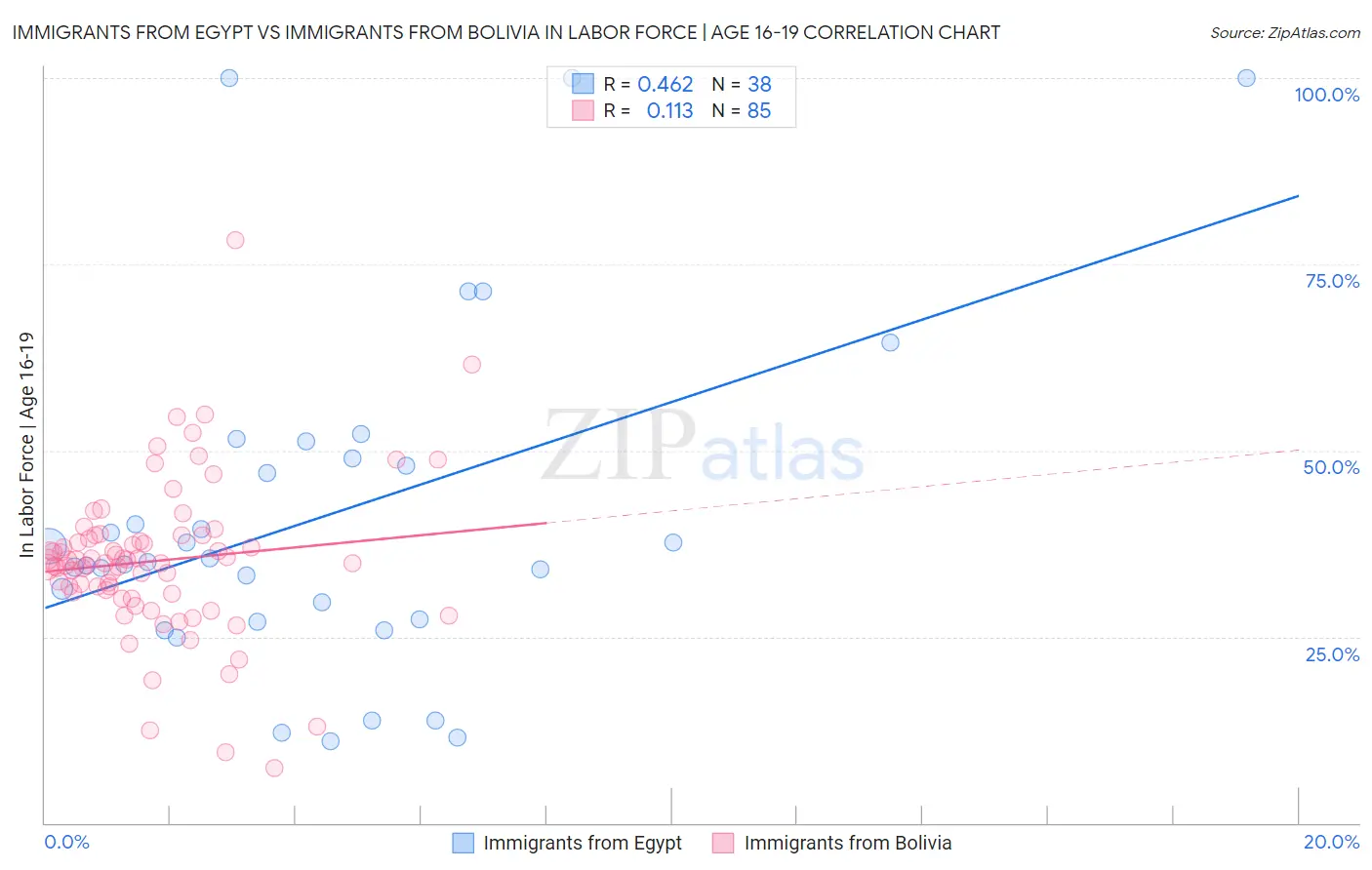 Immigrants from Egypt vs Immigrants from Bolivia In Labor Force | Age 16-19