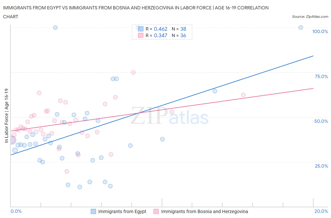 Immigrants from Egypt vs Immigrants from Bosnia and Herzegovina In Labor Force | Age 16-19