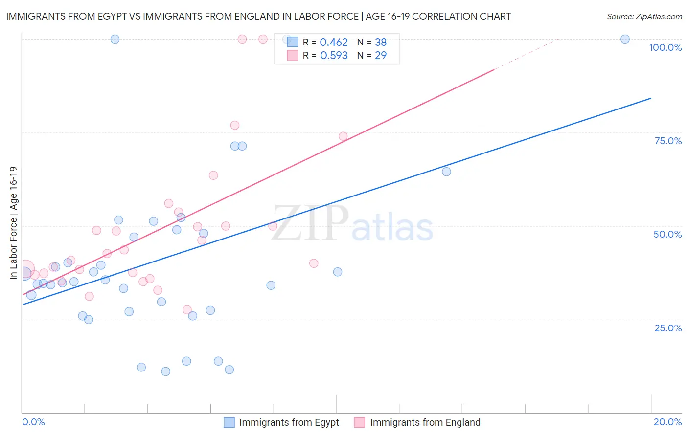 Immigrants from Egypt vs Immigrants from England In Labor Force | Age 16-19