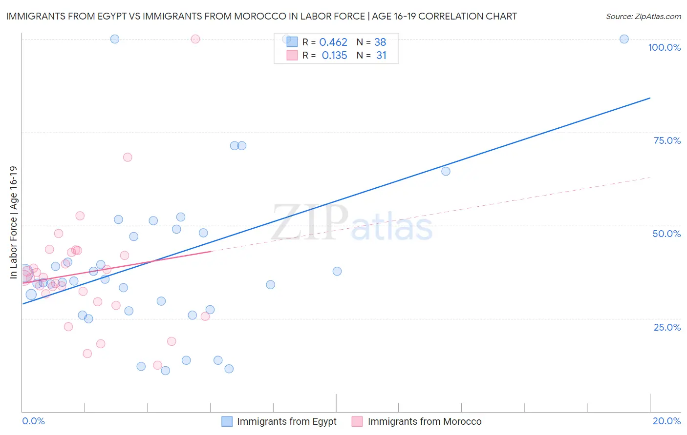 Immigrants from Egypt vs Immigrants from Morocco In Labor Force | Age 16-19