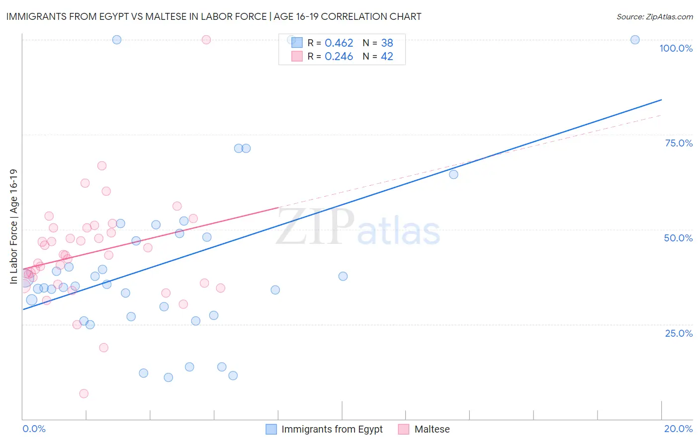 Immigrants from Egypt vs Maltese In Labor Force | Age 16-19