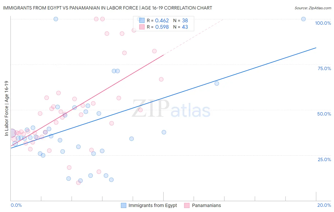 Immigrants from Egypt vs Panamanian In Labor Force | Age 16-19