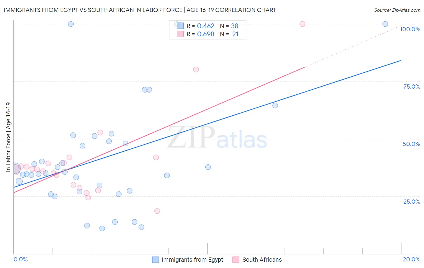 Immigrants from Egypt vs South African In Labor Force | Age 16-19