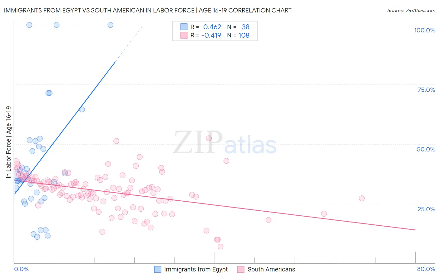 Immigrants from Egypt vs South American In Labor Force | Age 16-19