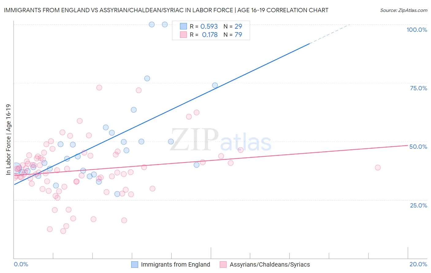 Immigrants from England vs Assyrian/Chaldean/Syriac In Labor Force | Age 16-19