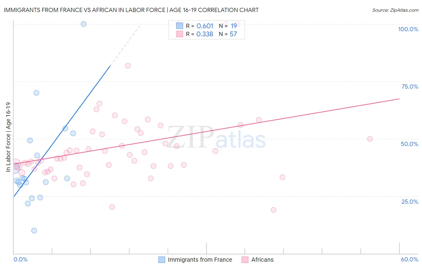 Immigrants from France vs African In Labor Force | Age 16-19