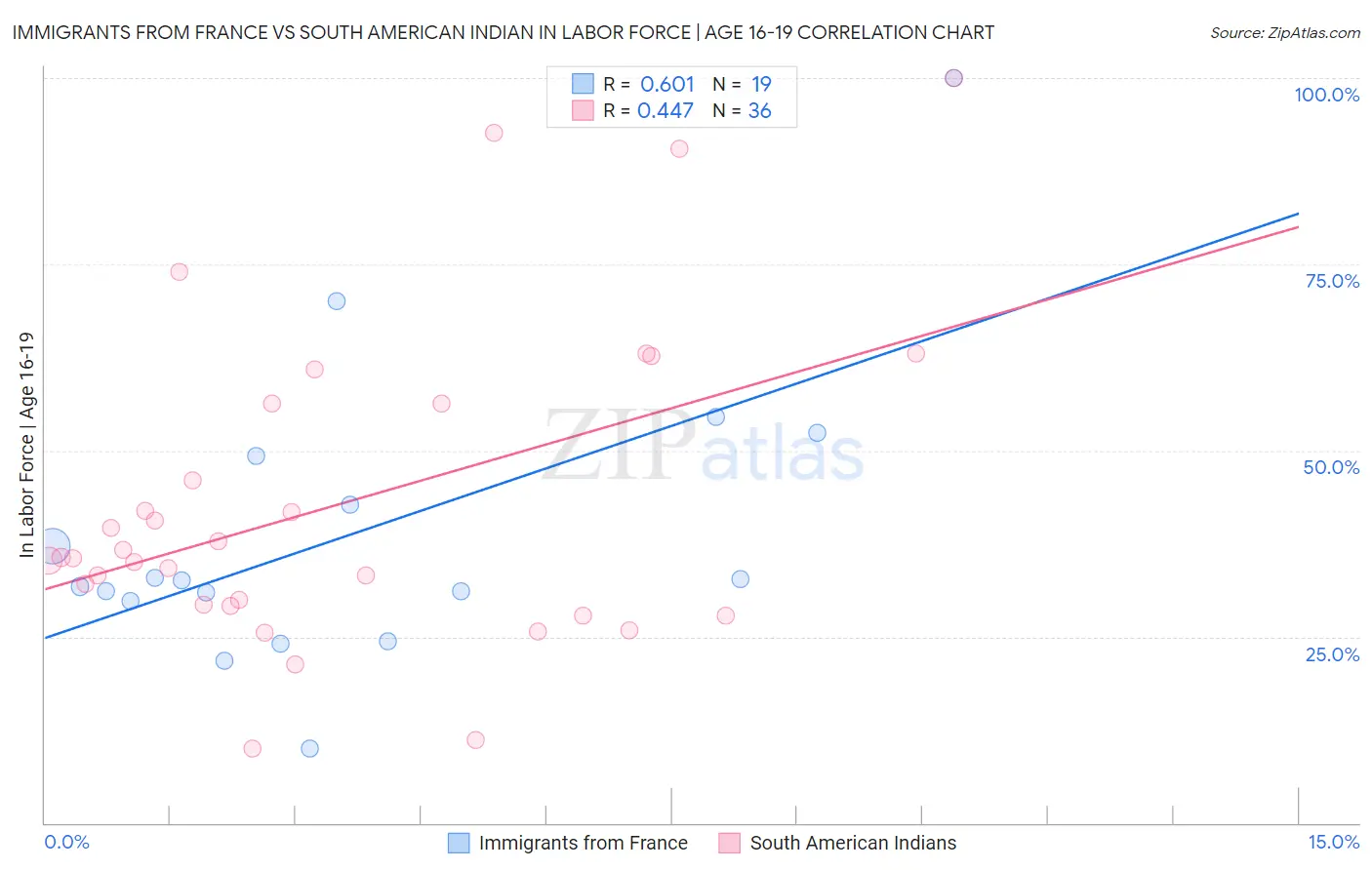 Immigrants from France vs South American Indian In Labor Force | Age 16-19
