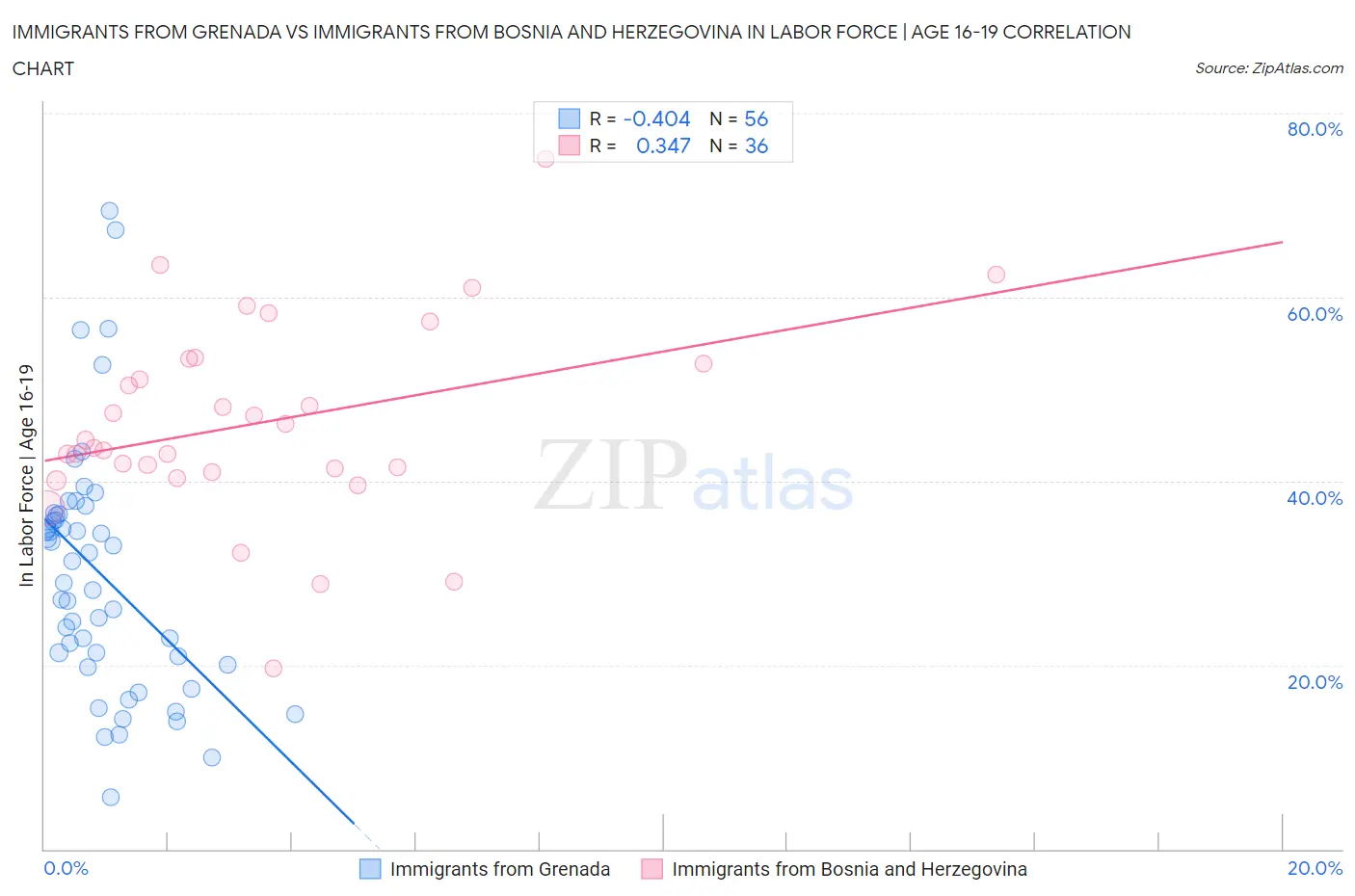 Immigrants from Grenada vs Immigrants from Bosnia and Herzegovina In Labor Force | Age 16-19