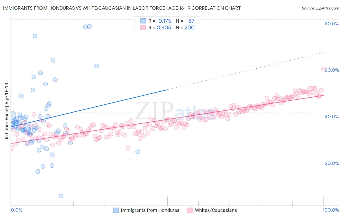 Immigrants from Honduras vs White/Caucasian In Labor Force | Age 16-19