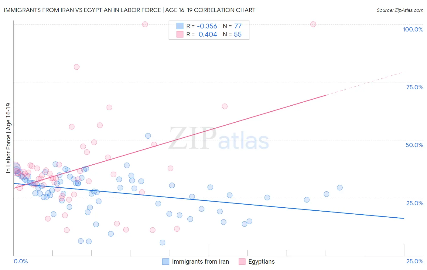 Immigrants from Iran vs Egyptian In Labor Force | Age 16-19