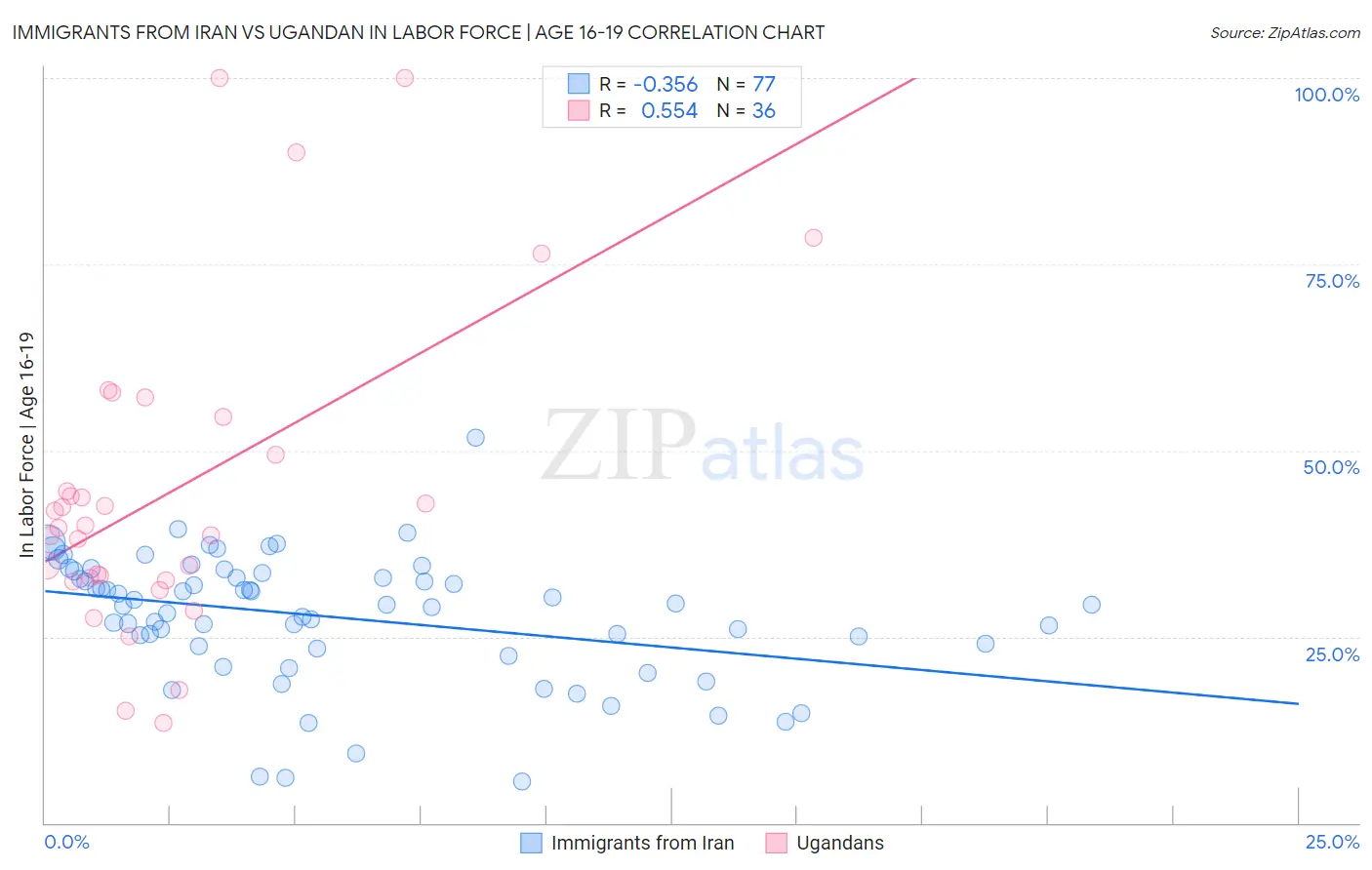 Immigrants from Iran vs Ugandan In Labor Force | Age 16-19