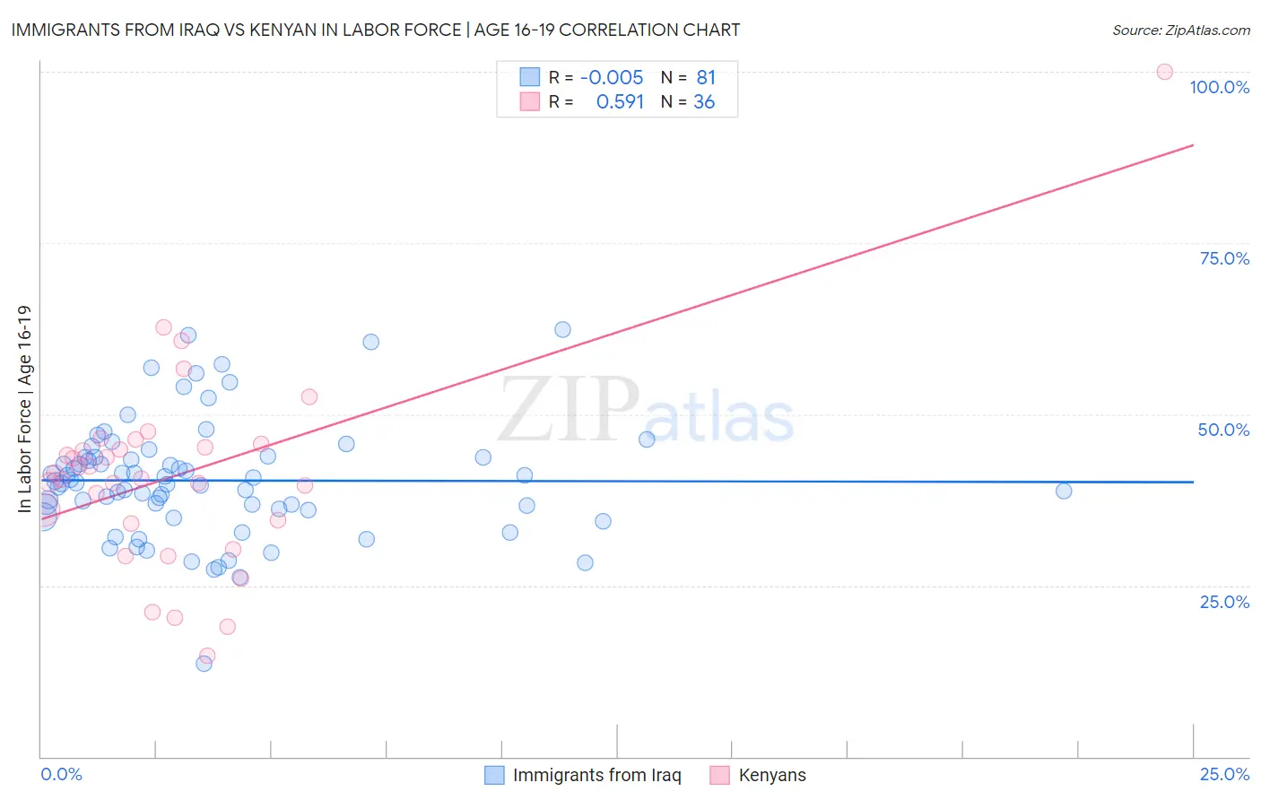 Immigrants from Iraq vs Kenyan In Labor Force | Age 16-19