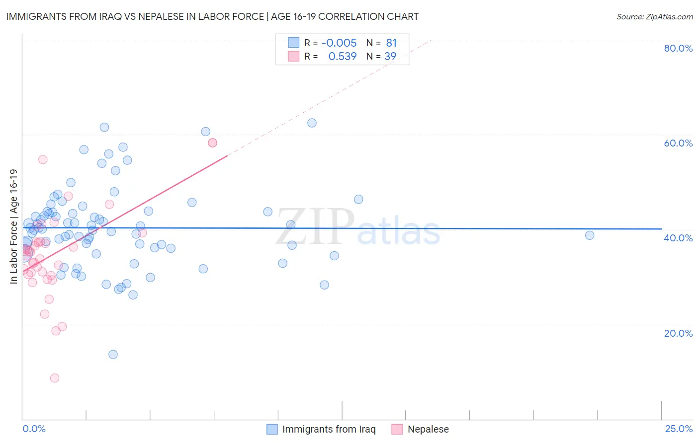 Immigrants from Iraq vs Nepalese In Labor Force | Age 16-19