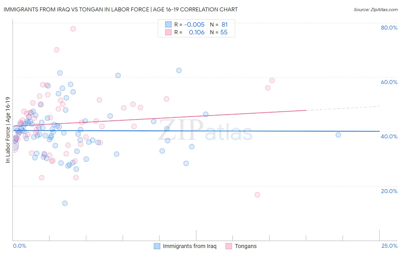 Immigrants from Iraq vs Tongan In Labor Force | Age 16-19