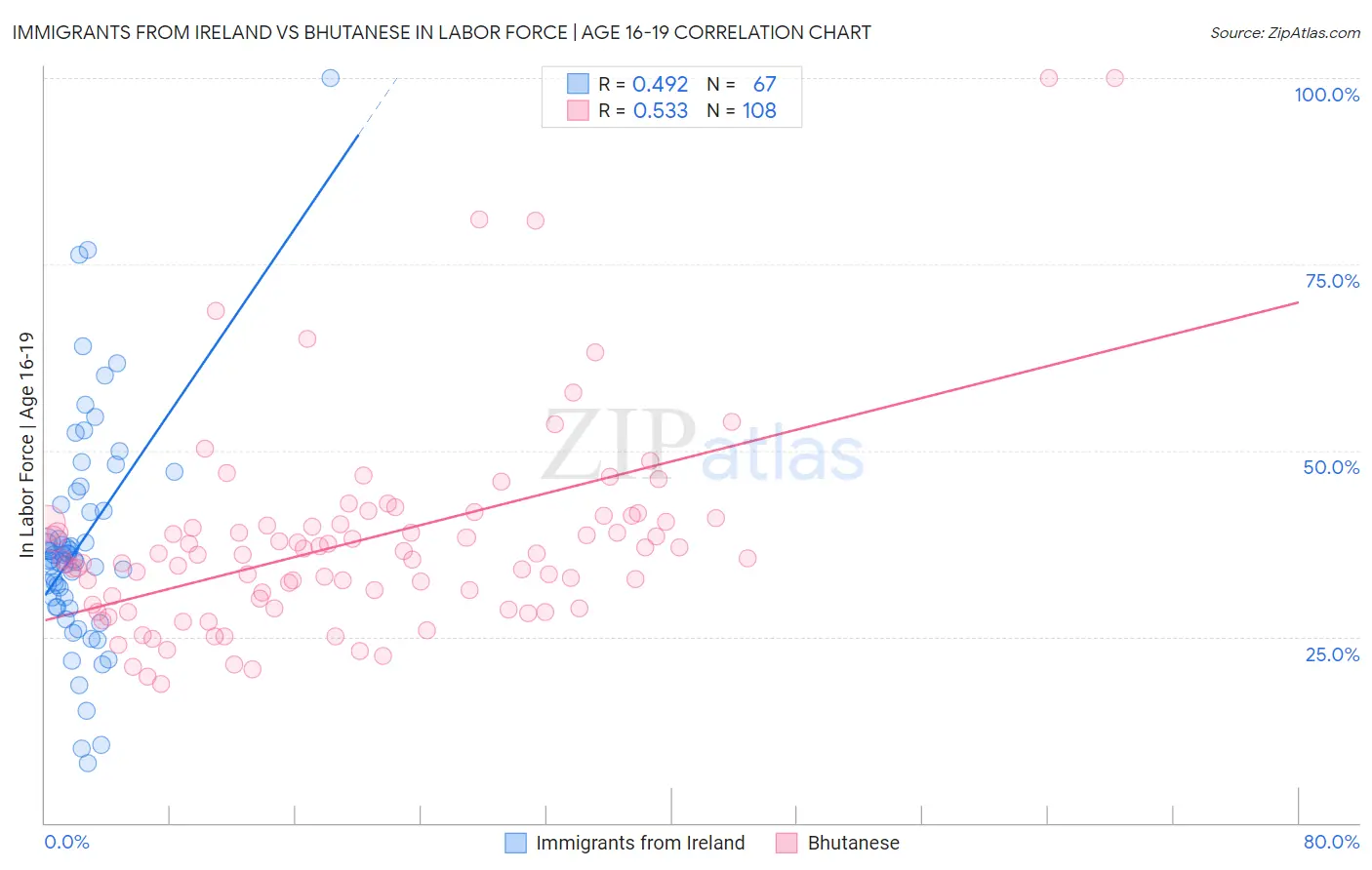 Immigrants from Ireland vs Bhutanese In Labor Force | Age 16-19