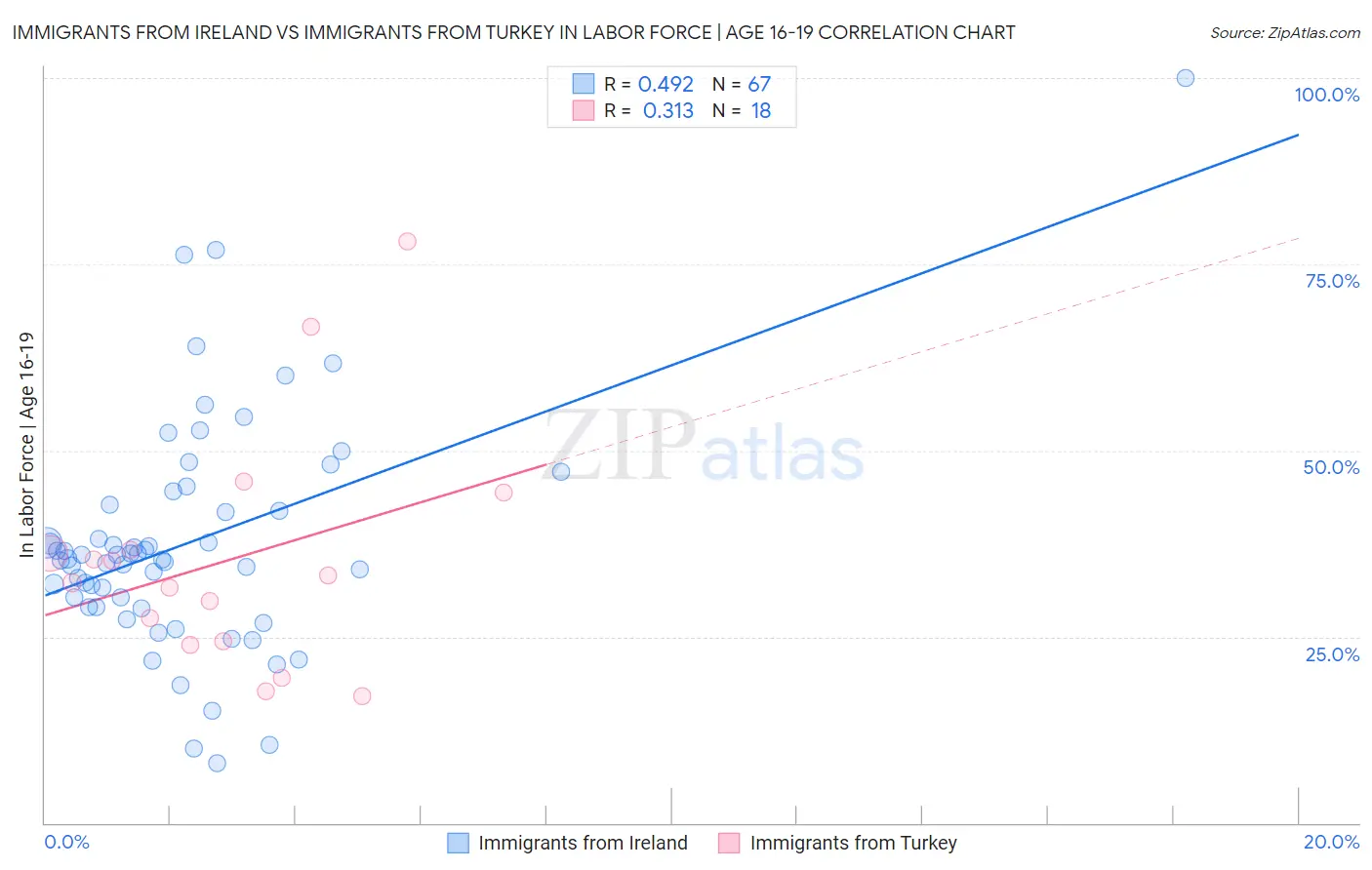 Immigrants from Ireland vs Immigrants from Turkey In Labor Force | Age 16-19