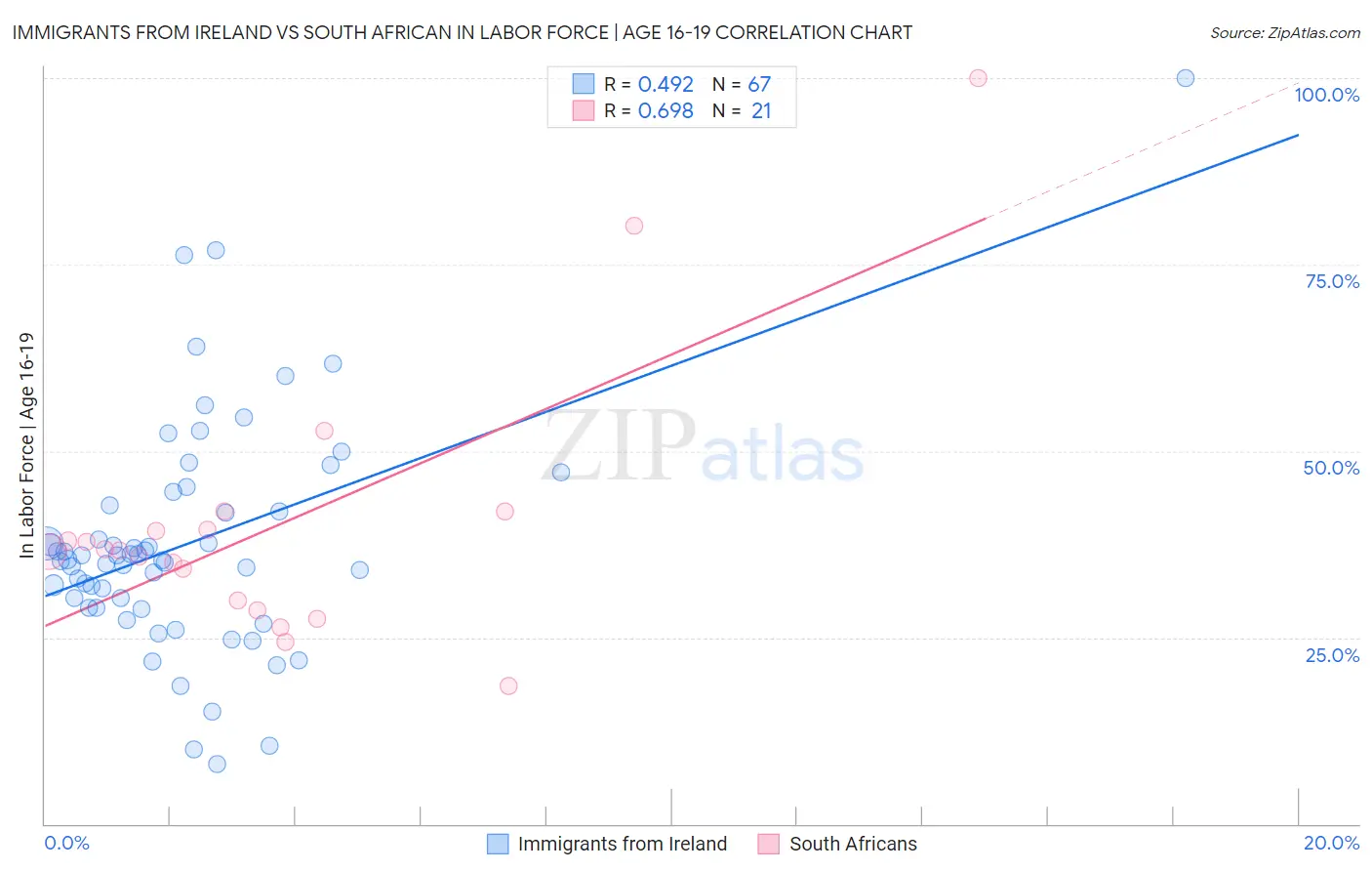 Immigrants from Ireland vs South African In Labor Force | Age 16-19
