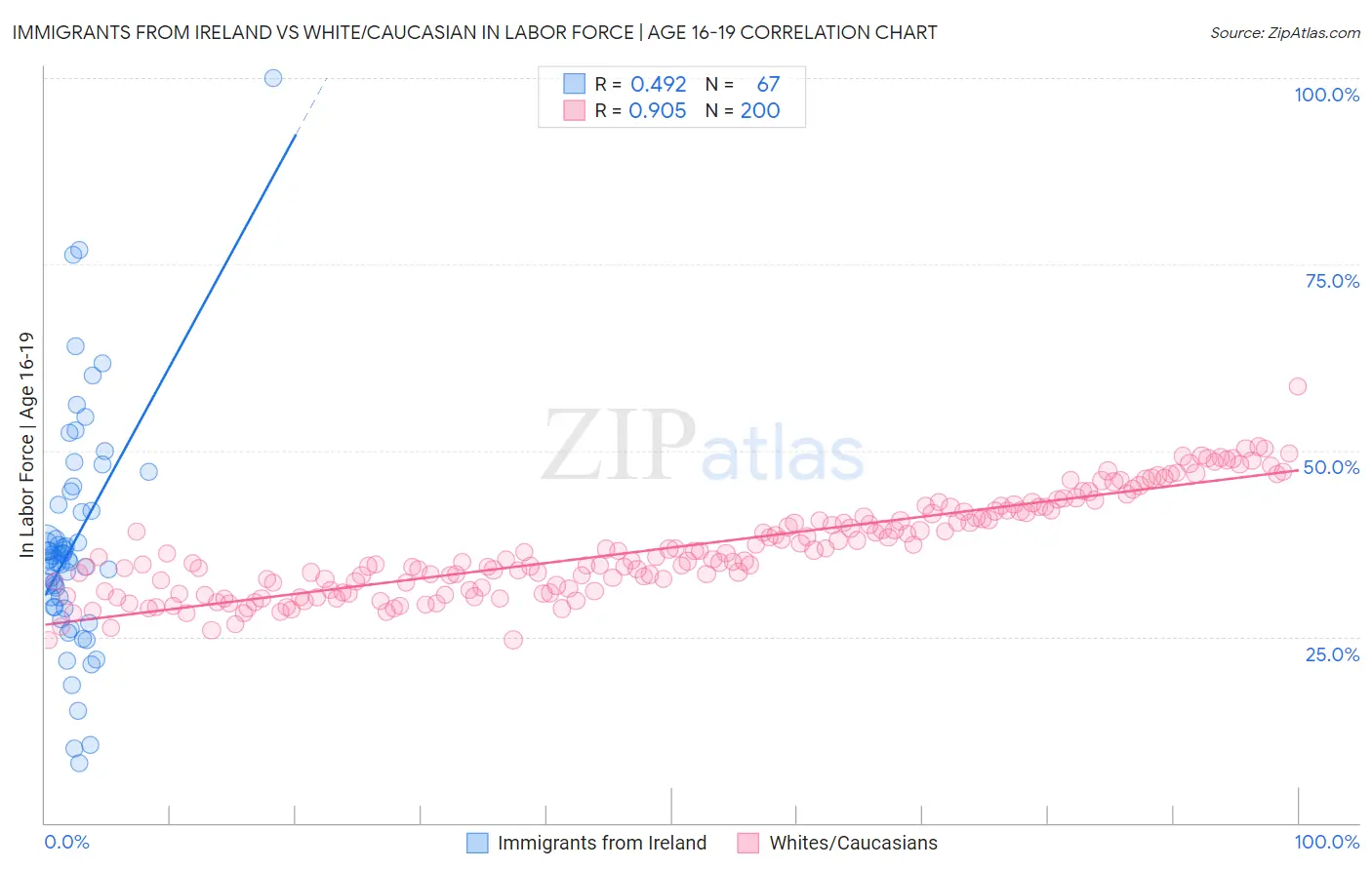 Immigrants from Ireland vs White/Caucasian In Labor Force | Age 16-19