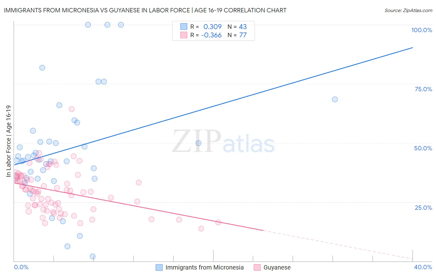 Immigrants from Micronesia vs Guyanese In Labor Force | Age 16-19