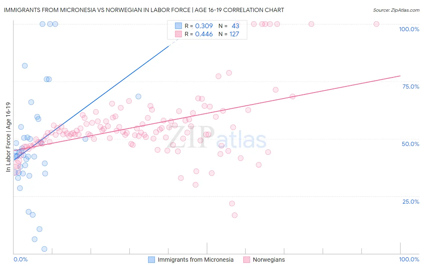 Immigrants from Micronesia vs Norwegian In Labor Force | Age 16-19