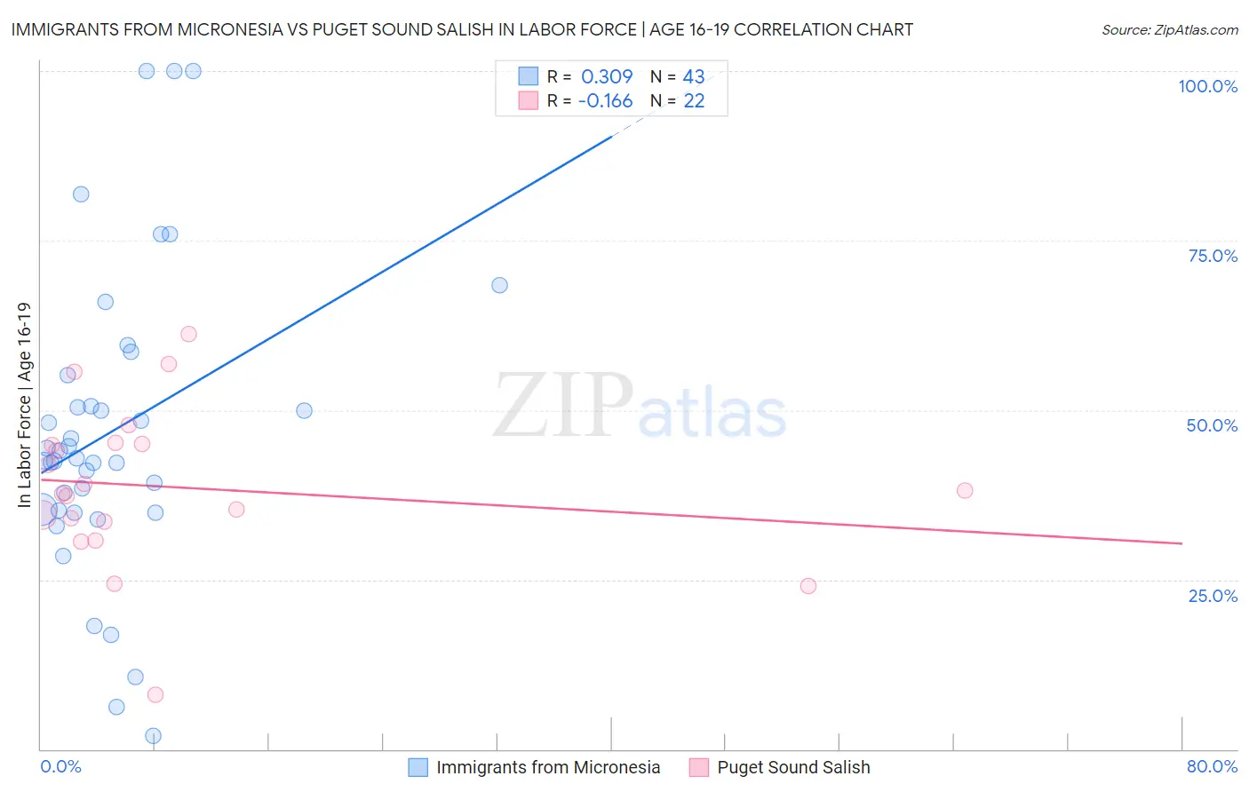 Immigrants from Micronesia vs Puget Sound Salish In Labor Force | Age 16-19