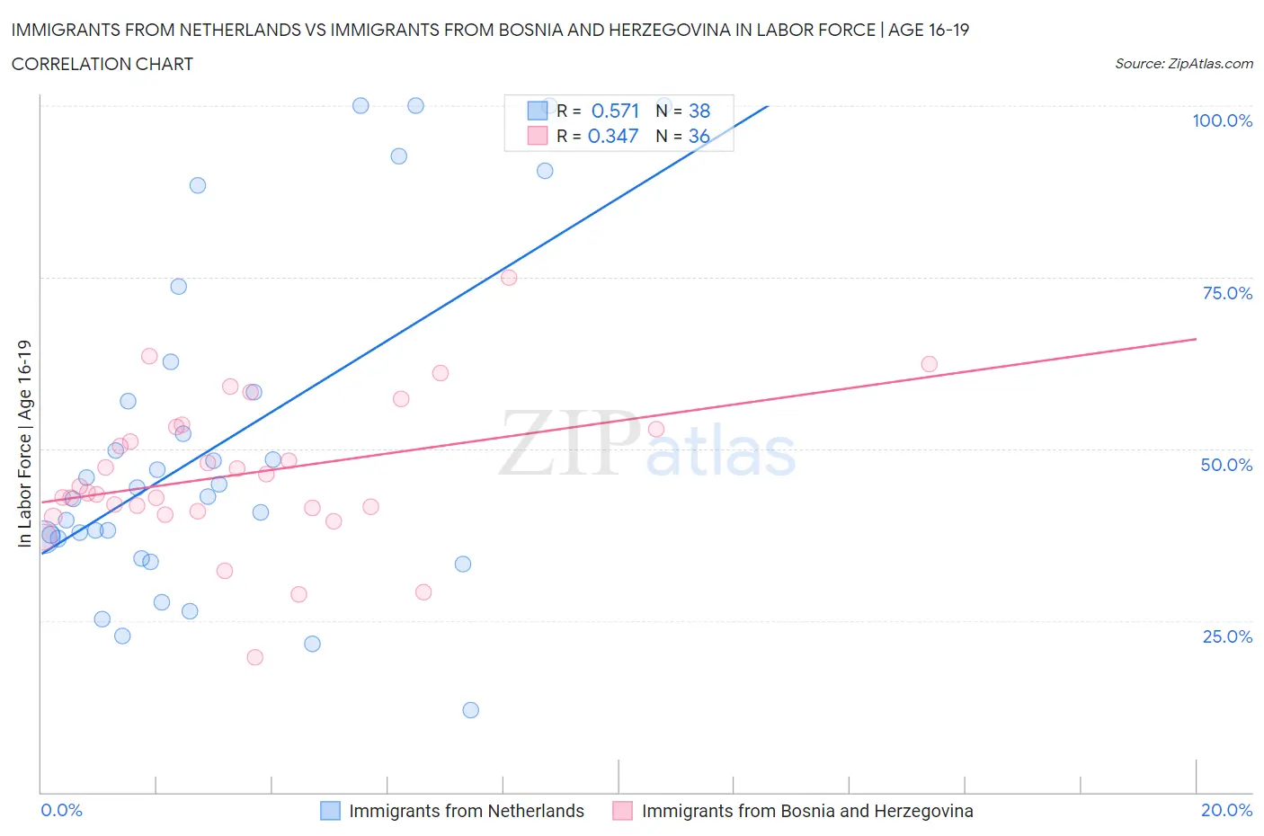 Immigrants from Netherlands vs Immigrants from Bosnia and Herzegovina In Labor Force | Age 16-19