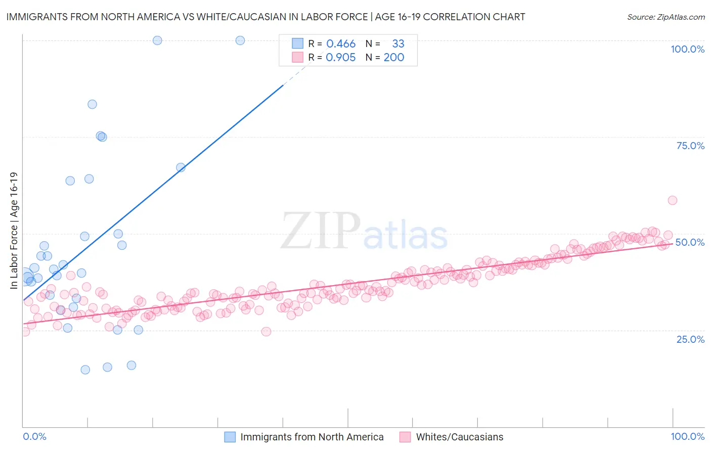 Immigrants from North America vs White/Caucasian In Labor Force | Age 16-19