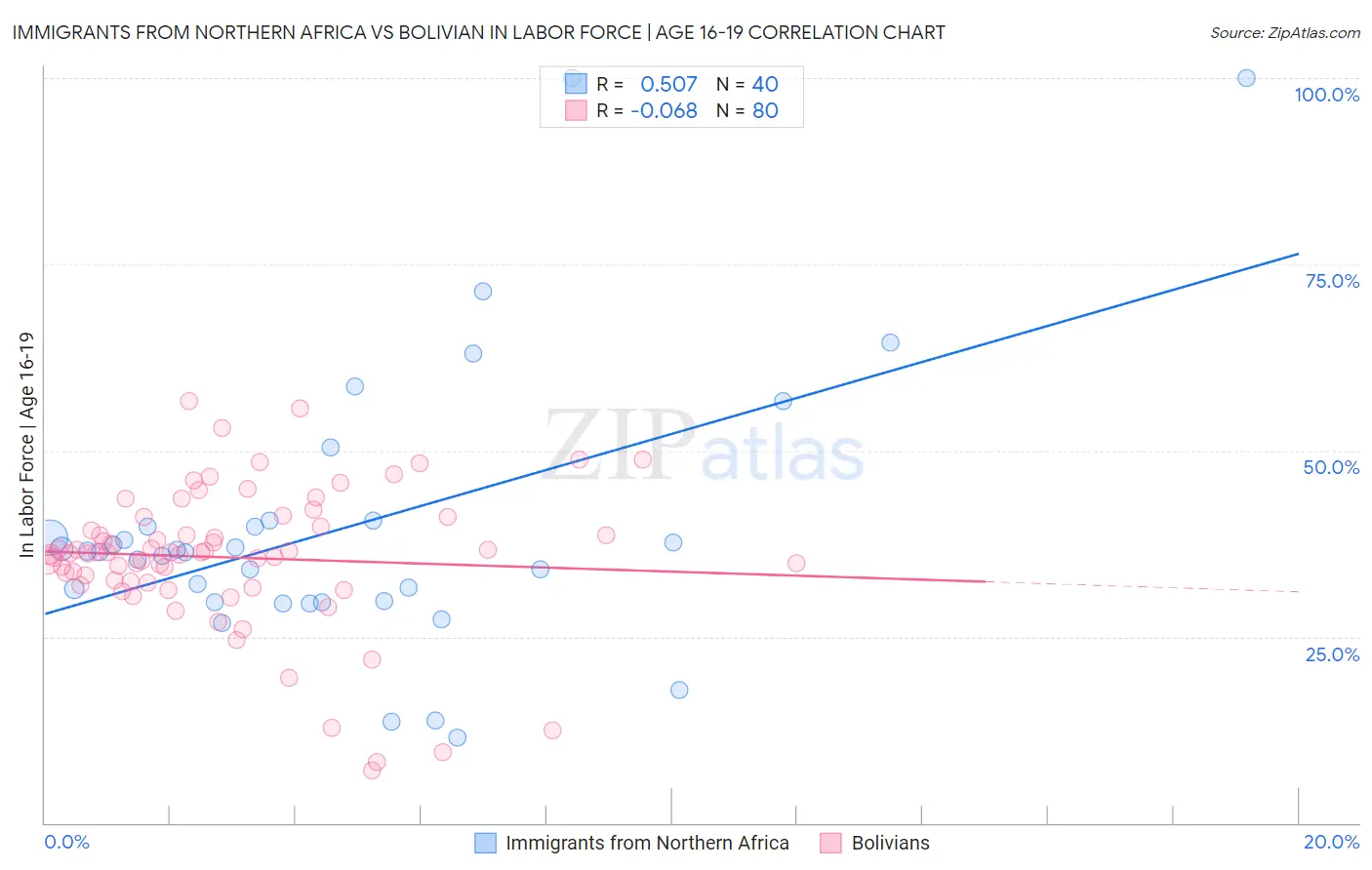 Immigrants from Northern Africa vs Bolivian In Labor Force | Age 16-19