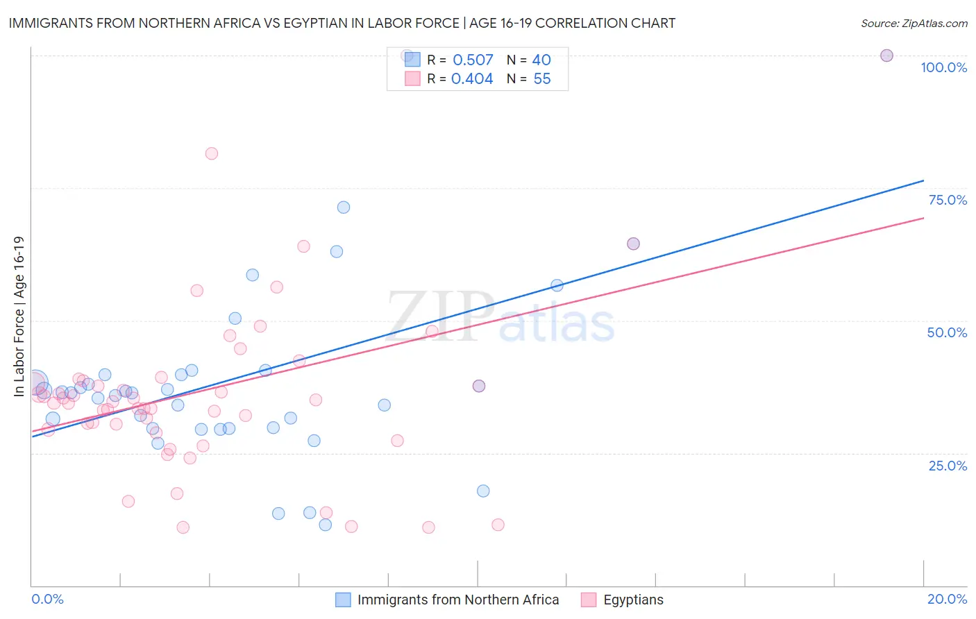 Immigrants from Northern Africa vs Egyptian In Labor Force | Age 16-19