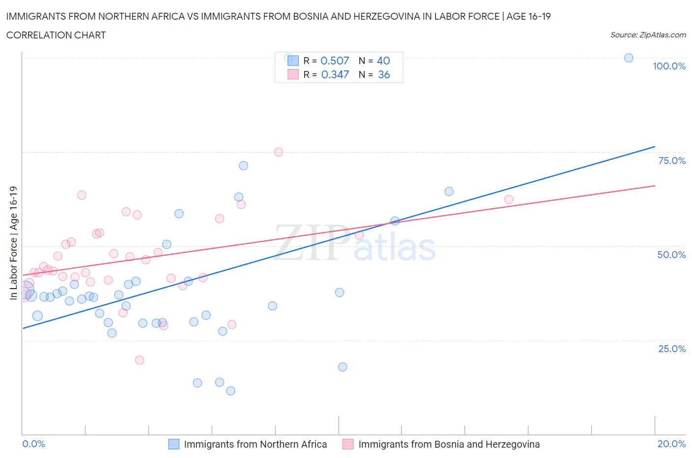 Immigrants from Northern Africa vs Immigrants from Bosnia and Herzegovina In Labor Force | Age 16-19