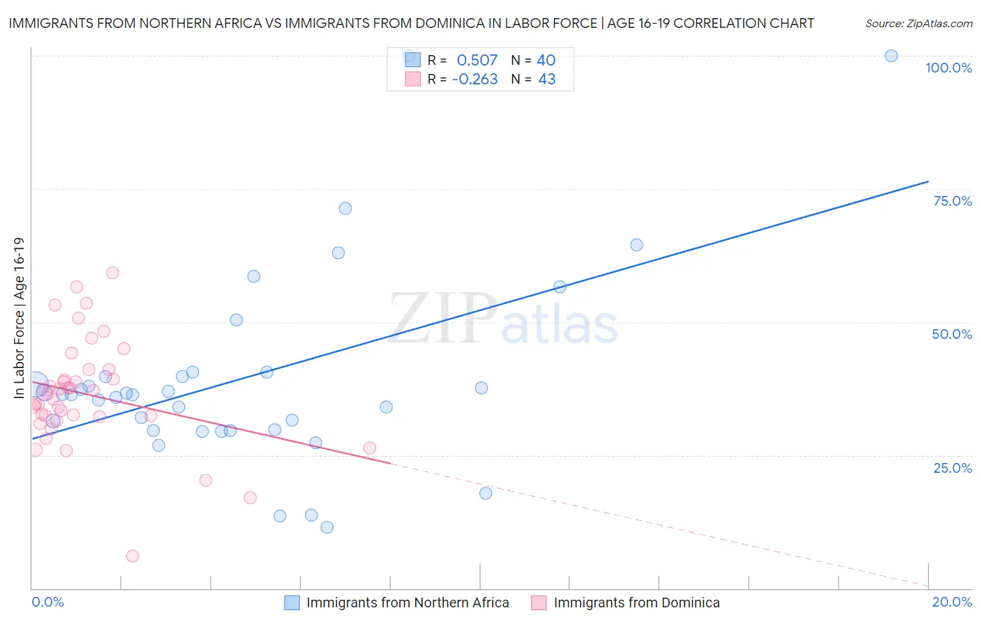 Immigrants from Northern Africa vs Immigrants from Dominica In Labor Force | Age 16-19