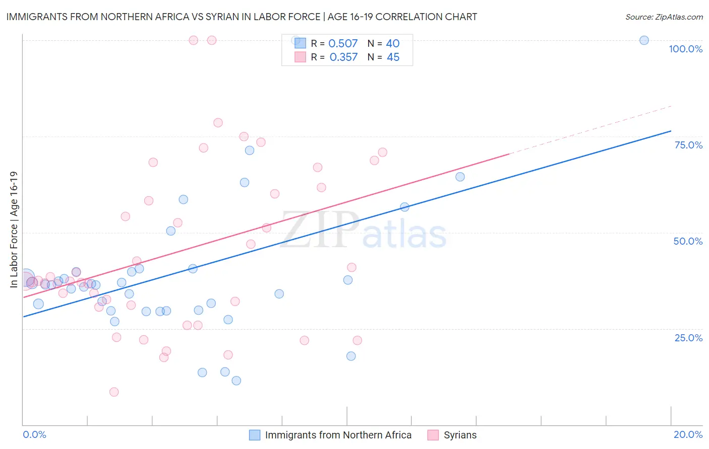 Immigrants from Northern Africa vs Syrian In Labor Force | Age 16-19