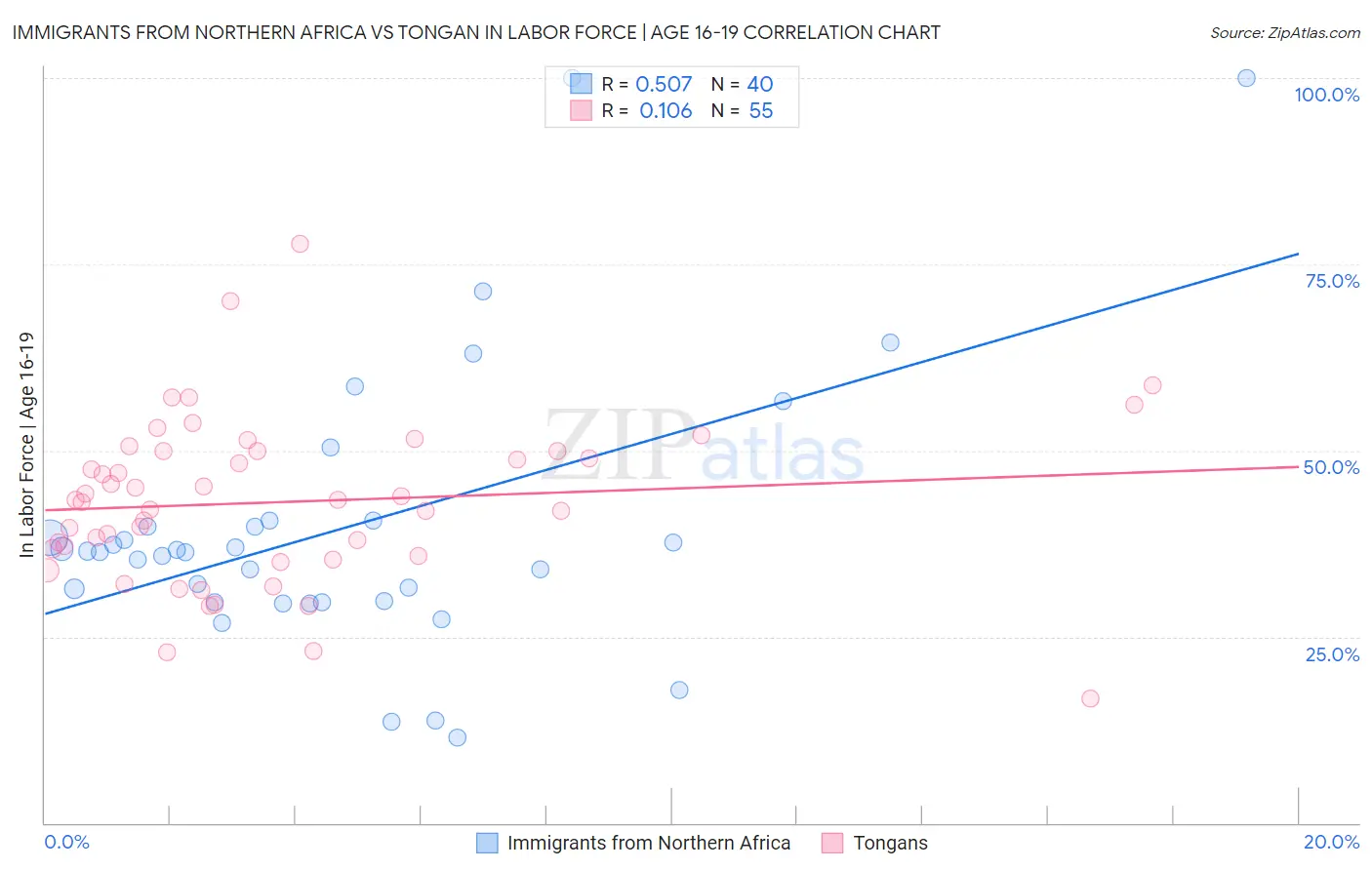 Immigrants from Northern Africa vs Tongan In Labor Force | Age 16-19