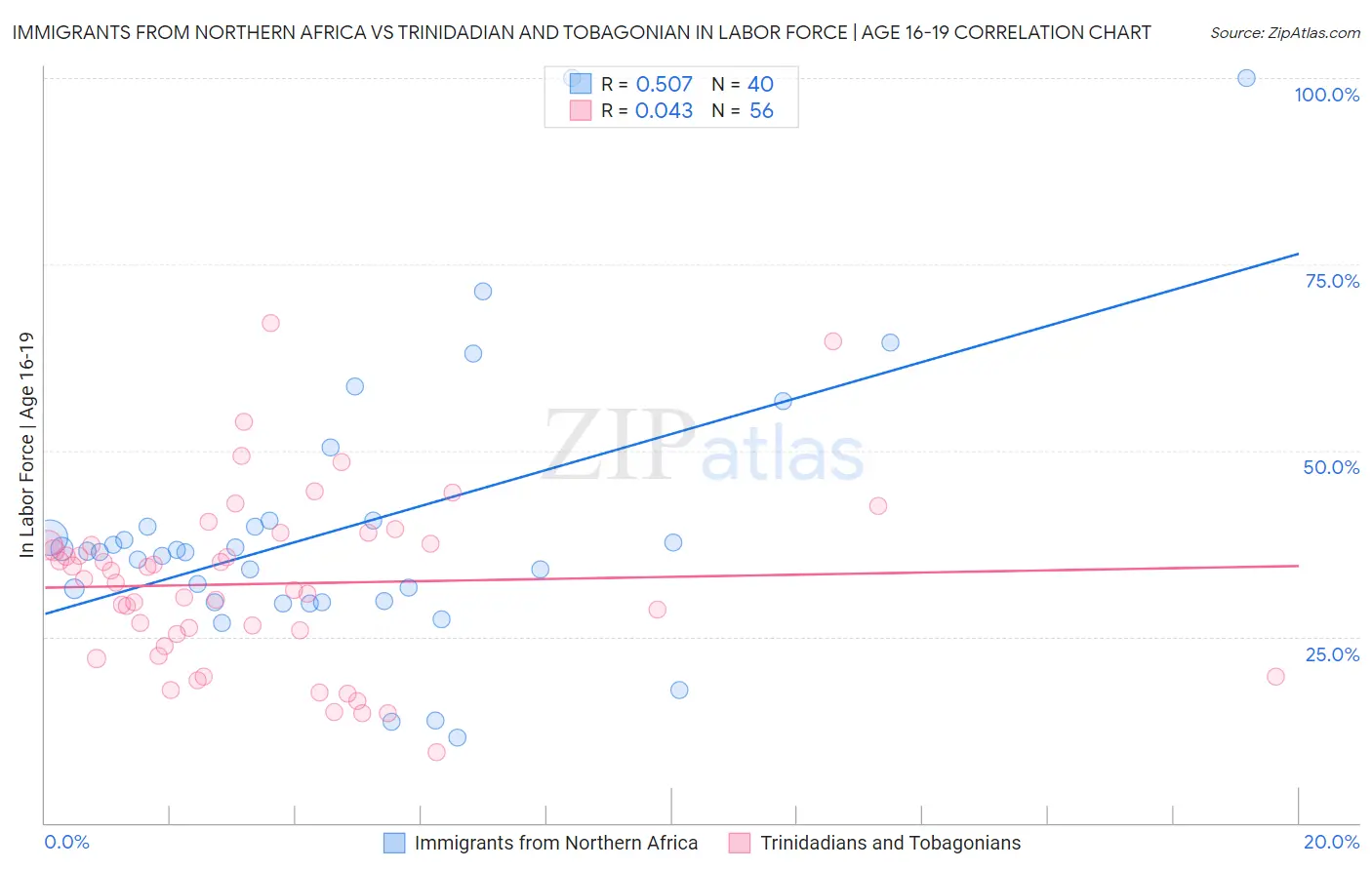 Immigrants from Northern Africa vs Trinidadian and Tobagonian In Labor Force | Age 16-19