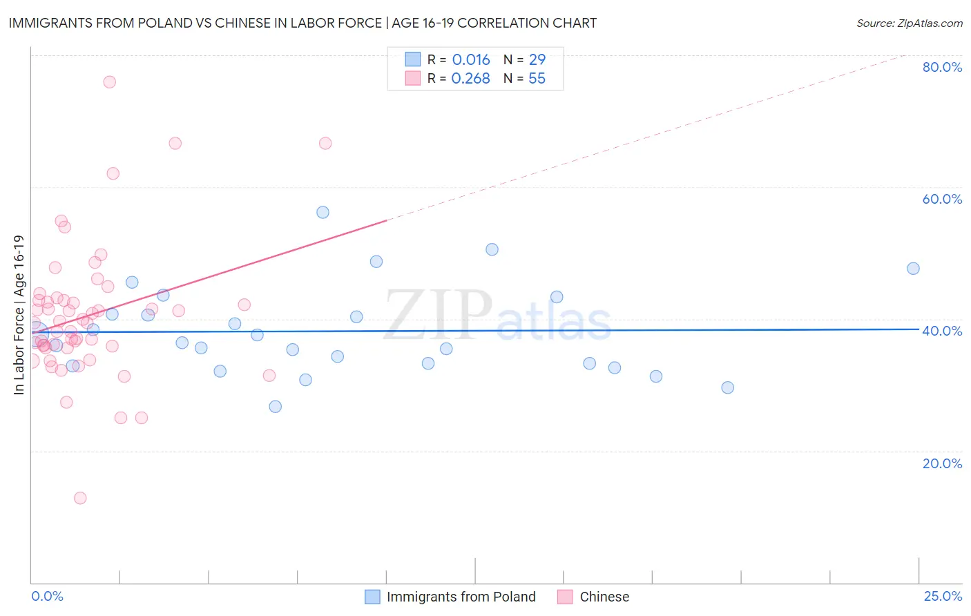 Immigrants from Poland vs Chinese In Labor Force | Age 16-19