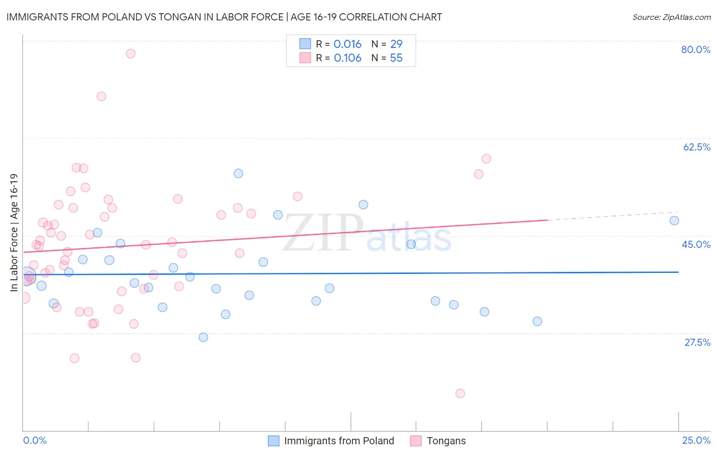 Immigrants from Poland vs Tongan In Labor Force | Age 16-19