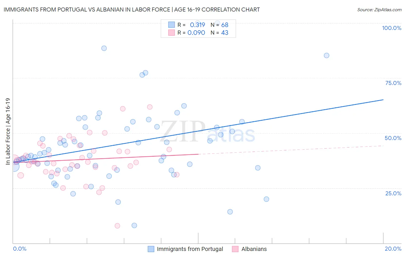 Immigrants from Portugal vs Albanian In Labor Force | Age 16-19