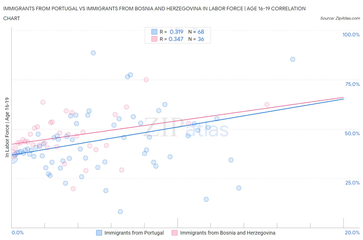 Immigrants from Portugal vs Immigrants from Bosnia and Herzegovina In Labor Force | Age 16-19