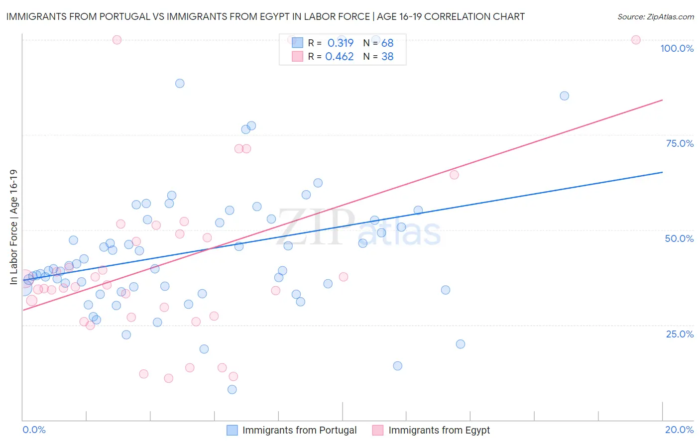 Immigrants from Portugal vs Immigrants from Egypt In Labor Force | Age 16-19