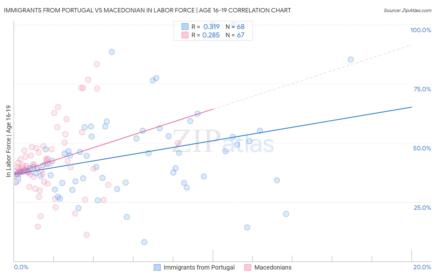 Immigrants from Portugal vs Macedonian In Labor Force | Age 16-19